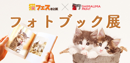 猫フェス＠上越　フォトブック展
