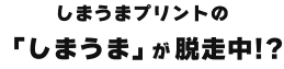 しまうまプリントの「しまうま」が脱走中！