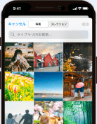 写真を編集