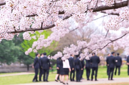 新社会人になる前に確認しておきたいこんなことのイメージ