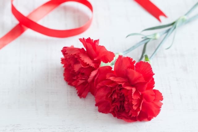 しまうまプリントで作る母の日ギフトのアイデア