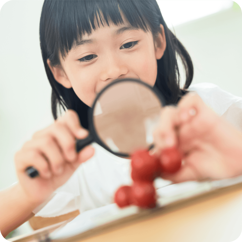「夏休みの自由研究」をフォトブックで作ろう🔎